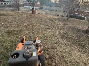 Leaf Removal by George Avalos for Randy B. in Omaha, NE