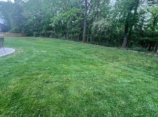 Amanda M.'s Grass Cutting service result