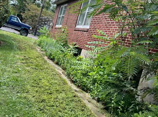 Austin N.'s Lawn Service service result