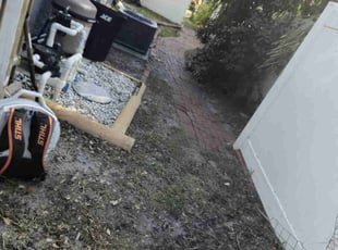 Cleanups by Elvis Pintado for Drew C. in Tampa, FL