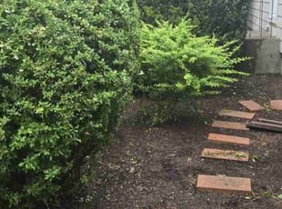 Jeremy C.'s Landscaping service result