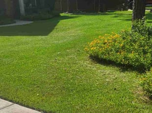 Michael s.'s Lawn Maintenance service result