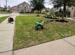 Aeration by Hector Cruz for Rosilene B. in Tomball, TX