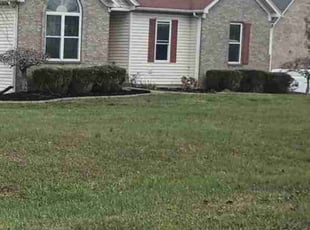 Andrew u.'s Yard Cutting service result