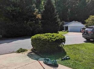 Bush Trimming by Dameatric Taylor for John G. in Fletcher, NC