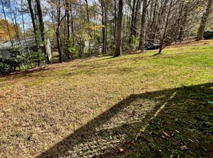 Leaf Removal by Caitlin Hough for Kelly P. in Cary, NC