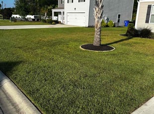 Gerry O.'s Lawn Care service result