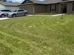 Juanita S.'s Grass Cutting service result