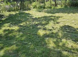 Dade B.'s Lawn Maintenance service result