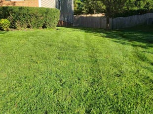 Bruce C.'s Lawn Service service result