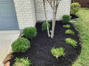 Robin W.'s Bush Trimming service result