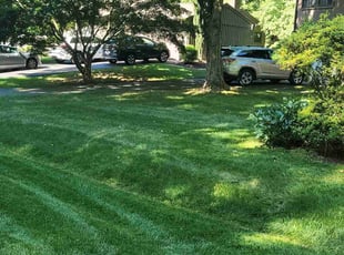 Janet F.'s Lawn Mowing service result