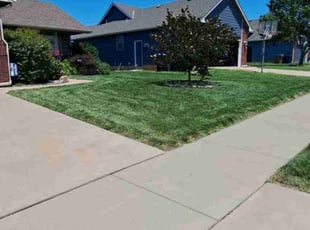 Timothy J.'s Lawn Mowing service result