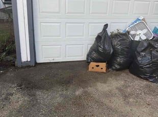 Molly V.'s Cleanups service result