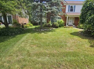 Abe E.'s Lawn Service service result