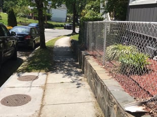 Bush Trimming by Kamonta Hackey for Shavon S. in Washington, DC
