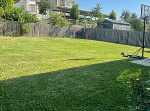 Julie H.'s Lawn Mowing service result