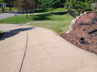 Safa F.'s Lawn Care service result
