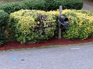 Bush Trimming by James Millard for Joshua G. in Fort Mill, SC