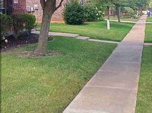 Rob S.'s Lawn Care service result
