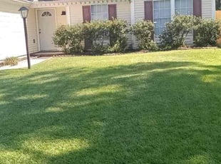 Corey D.'s Lawn Maintenance service result