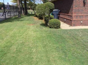 Bush Trimming by Nelson Lee for Tina C. in Edmond, OK