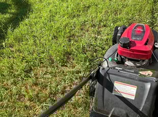 Zach F.'s Flower Bed Weeding service result