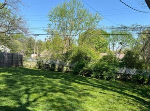 Lisa H.'s Lawn Service service result