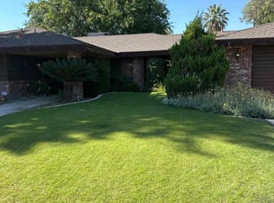 Jamillah O.'s Lawn Care service result