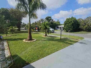 Joseph M.'s Lawn Mowing service result