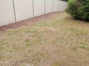 Leaf Removal by Savin Ungaro for Estazzia . in Windsor, CT