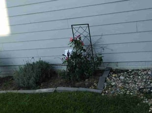 Weeding by Tim Birch for Megan B. in Papillion, NE