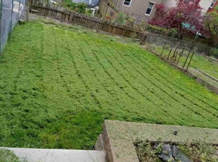 Bethany H.'s Lawn Mowing service result