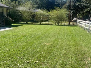 Melvin G.'s Yard Cutting service result