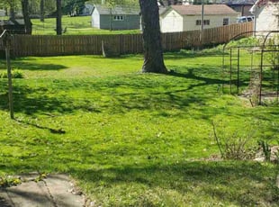 Donna W.'s Lawn Care service result