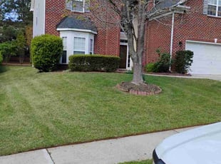 Elizabeth C.'s Lawn Mowing service result
