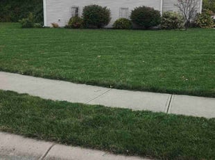 Kent S.'s Lawn Care service result