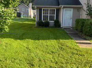 Regina C.'s Lawn Mowing Service service result