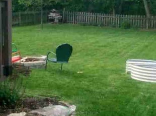 Cleanups by Mike Martin for Kelli S. in Columbus, OH