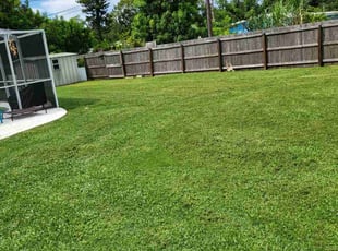 Justin N.'s Lawn Mowing service result