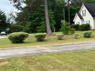 Bush Trimming by Jamaul Cheddie for Mikki H. in Covington, GA