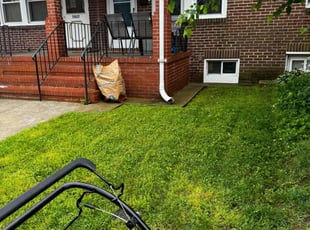 Anna L.'s Lawn Maintenance service result