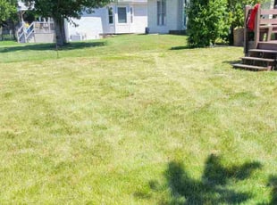 freyda s.'s Yard Cutting service result