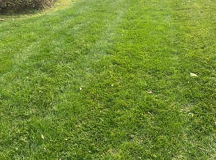 Emory H.'s Lawn Service service result