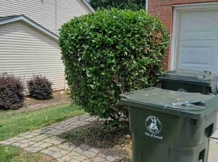 Bush Trimming by Tim Hargett for Jose D. in Lowell, NC