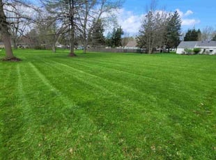Tim W.'s Lawn Service service result