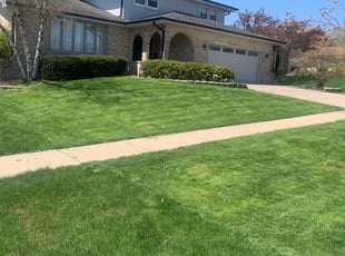 Bruno T.'s Lawn Maintenance service result