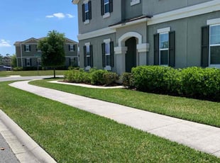 Daniel J.'s Lawn Mowing service result