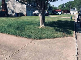 Dong K.'s Lawn Mowing service result