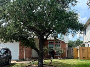 Vanessa V.'s Lawn Care service result